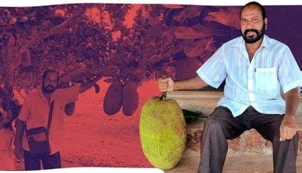 Jackfruit Impact Illustration