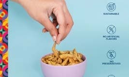 Raw Jackfruit Chips in Bowl