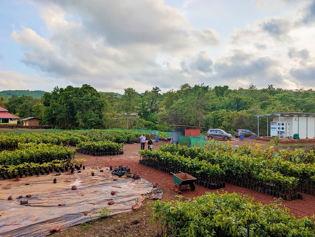 Ongoing Projects Nursery