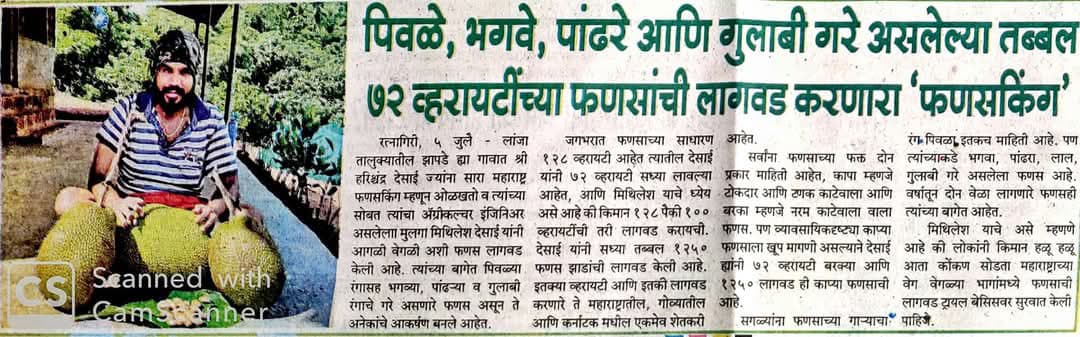 News Article 4