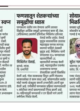 News Article 5
