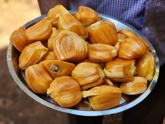 Jackfruit Bowl